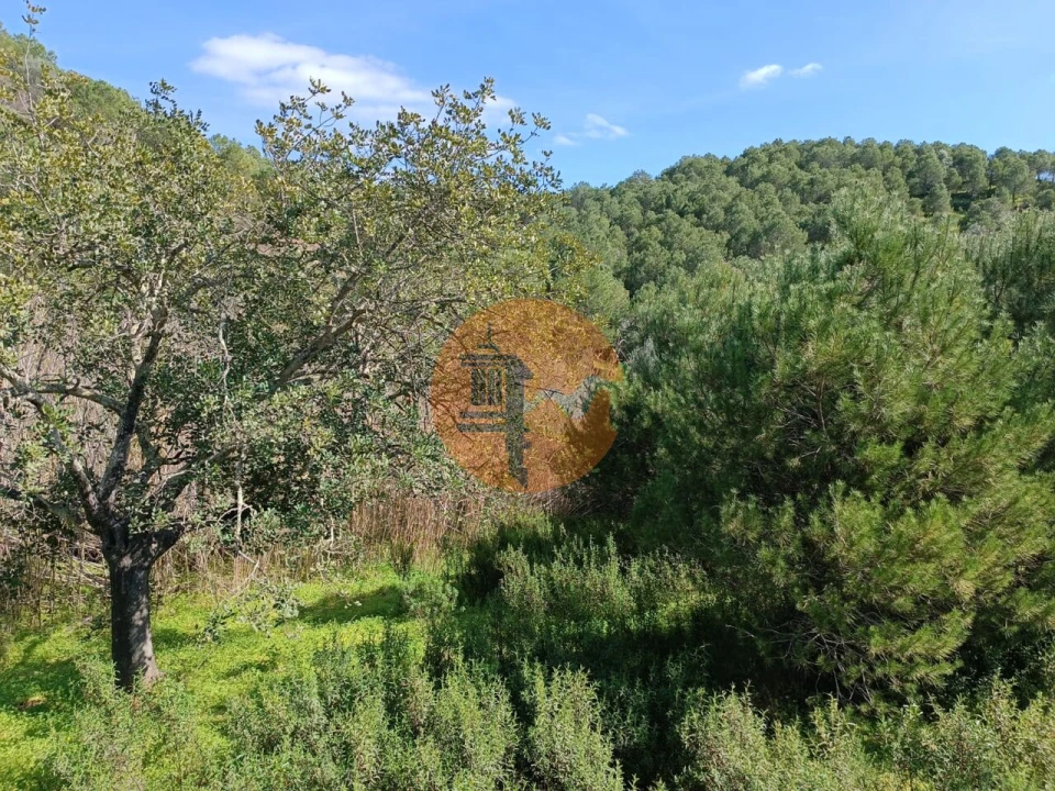 Terreno para Venda em Azinhal Foto 15