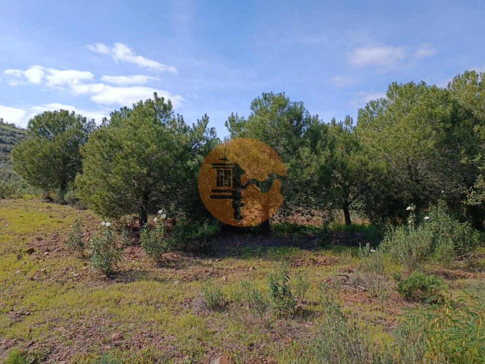 Terreno para Venda em Azinhal Foto 17