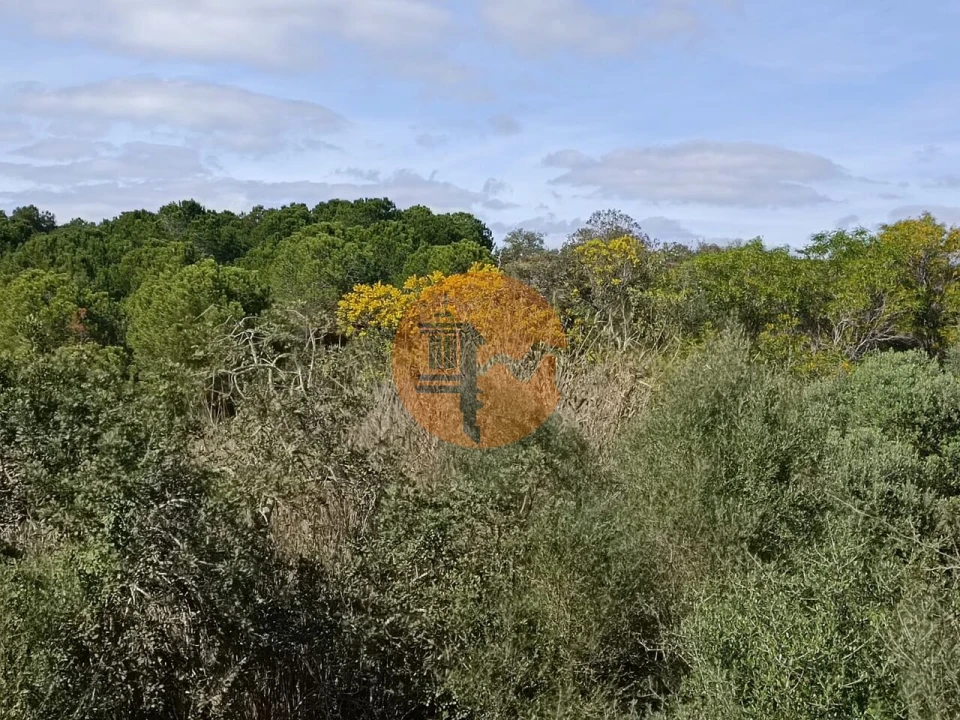 Terreno para Venda em Azinhal Foto 21