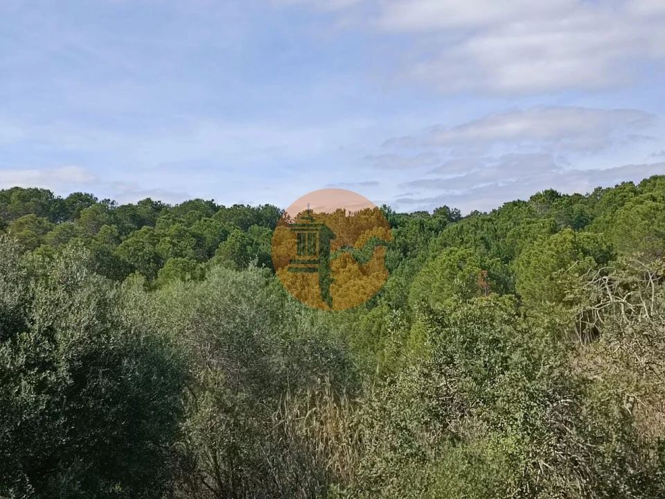 Terreno para Venda em Azinhal Foto 22