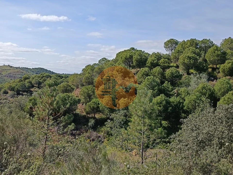 Terreno para Venda em Azinhal Foto 28