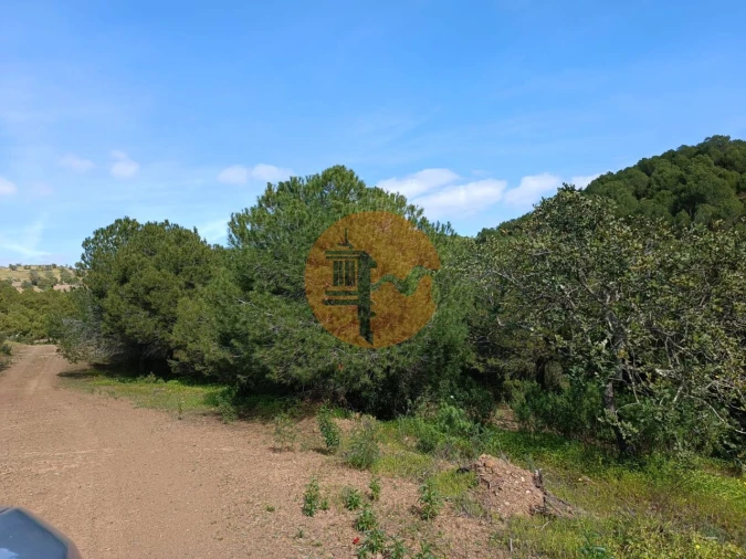 Terreno para Venda em Azinhal Foto 11