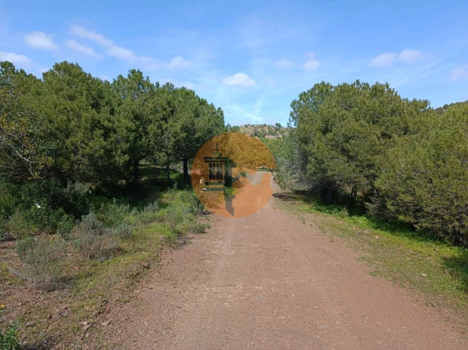 Terreno para Venda em Azinhal Foto 3