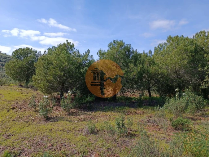Terreno para Venda em Azinhal Foto 17