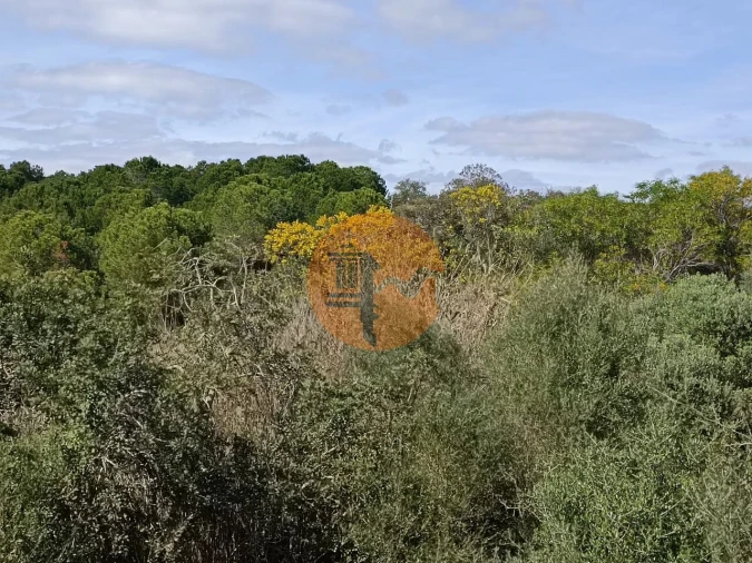 Terreno para Venda em Azinhal Foto 21