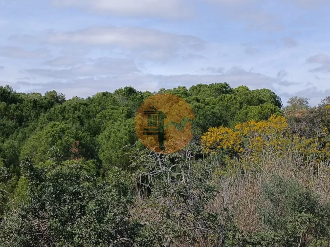 Terreno para Venda em Azinhal Foto 26