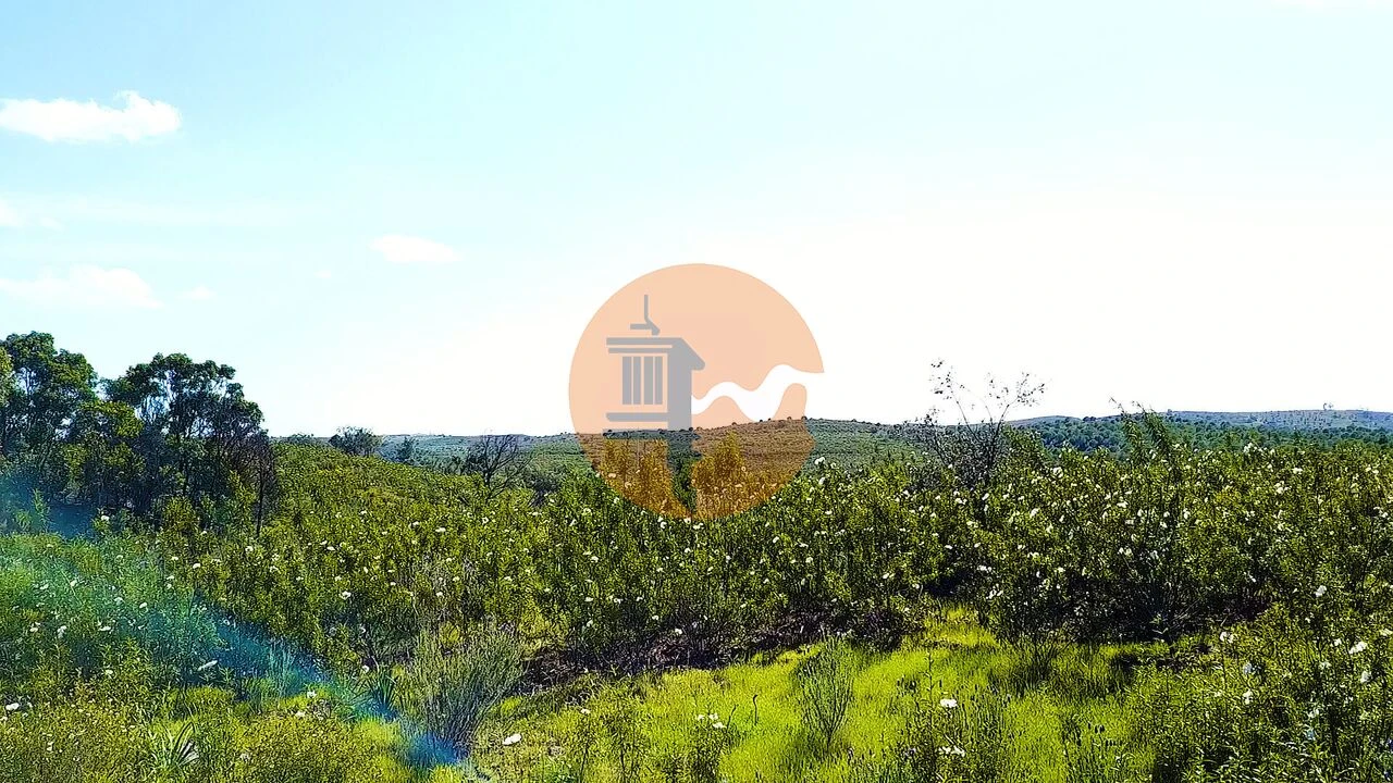 Terreno para Venda em Odeleite Foto 7