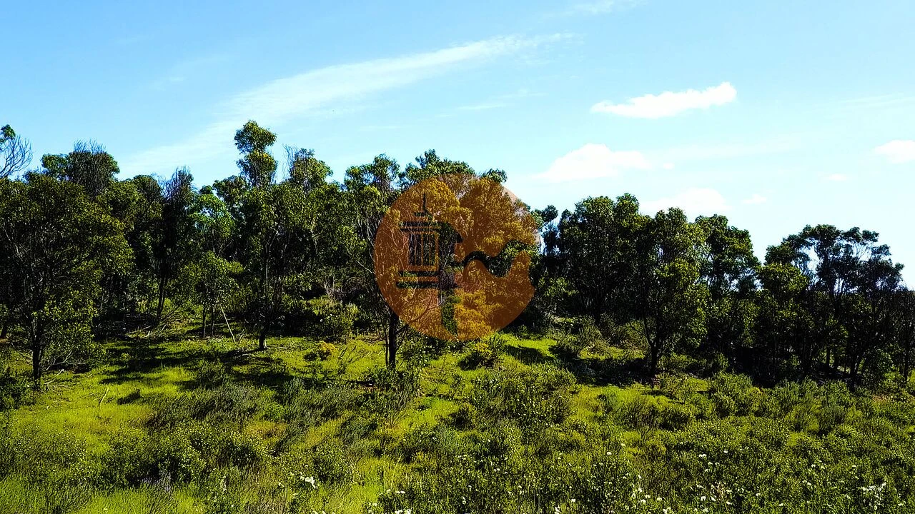 Terreno para Venda em Odeleite Foto 8