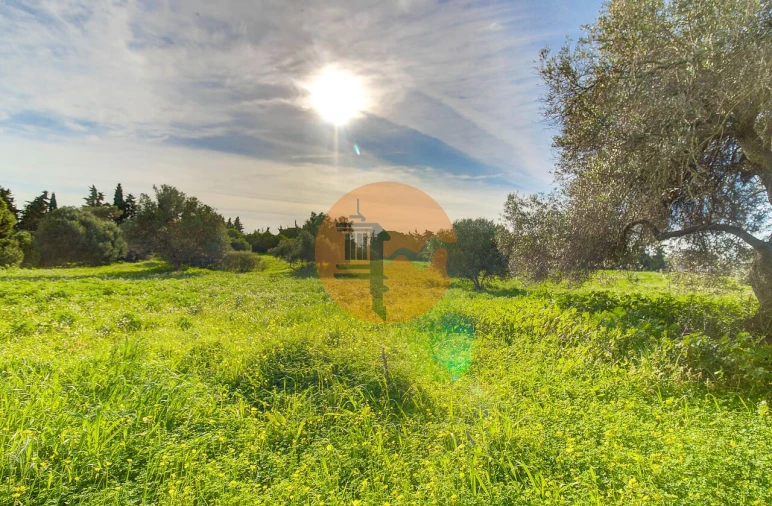 Moradia T4 para Venda em Vila Nova de Cacela Foto 51