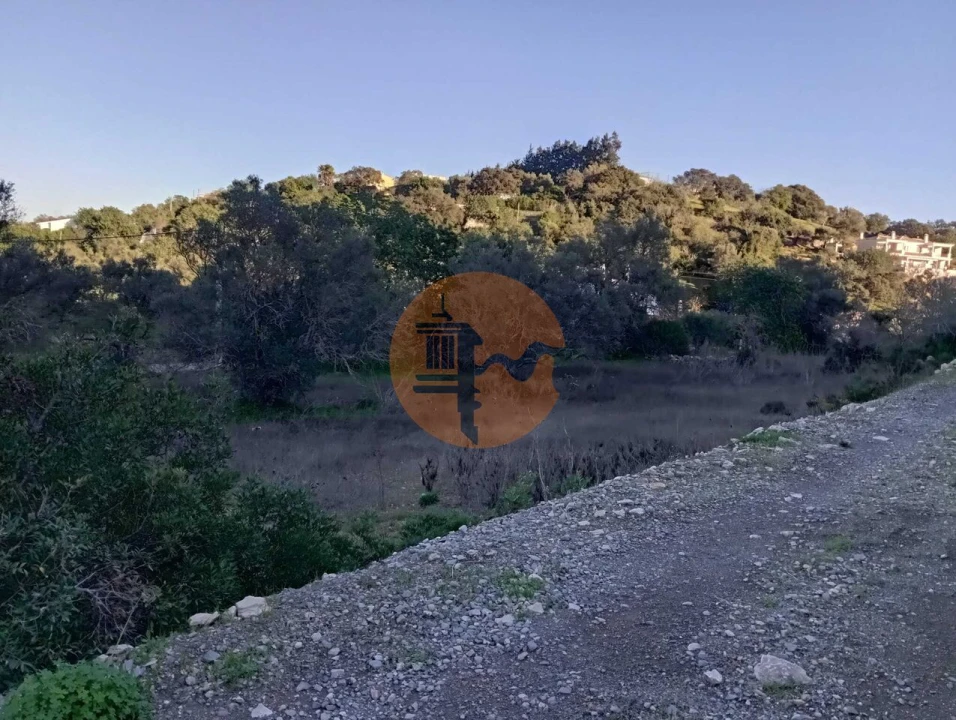 Terreno para Venda em São Brás de Alportel Foto 4