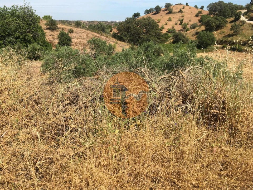 Terreno para Venda em Castro Marim Foto 6