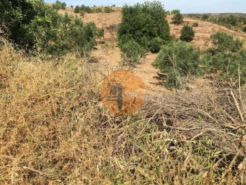 Terreno para Venda em Castro Marim