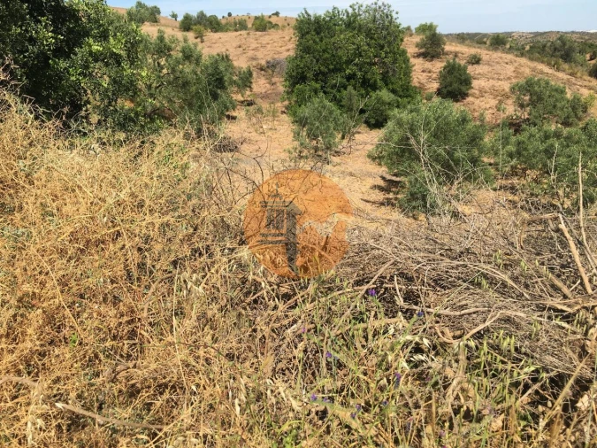 Terreno para Venda em Castro Marim Foto 3