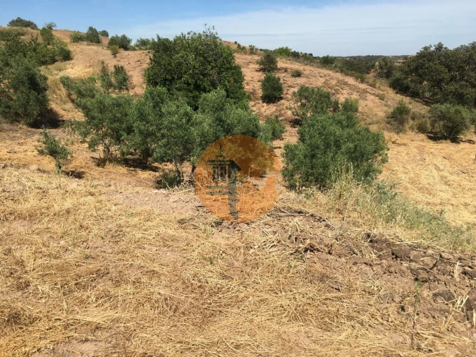 Terreno para Venda em Castro Marim Foto 8
