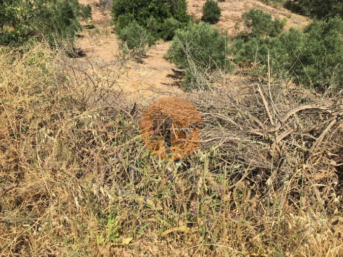 Terreno para Venda em Castro Marim Foto 9