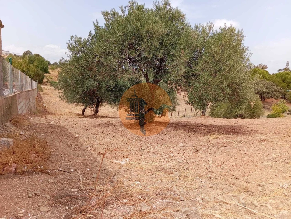 Terreno para Venda em Vila Nova de Cacela Foto 8
