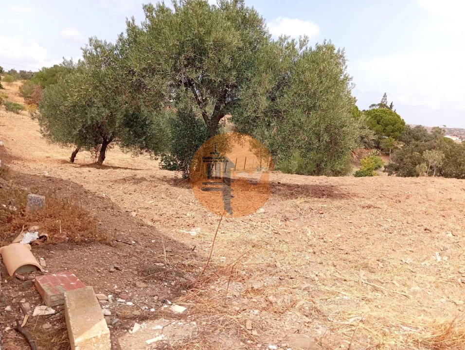 Terreno para Venda em Vila Nova de Cacela Foto 10