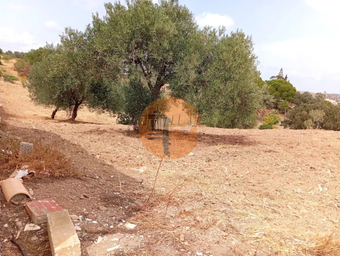 Terreno para Venda em Vila Nova de Cacela Foto 10