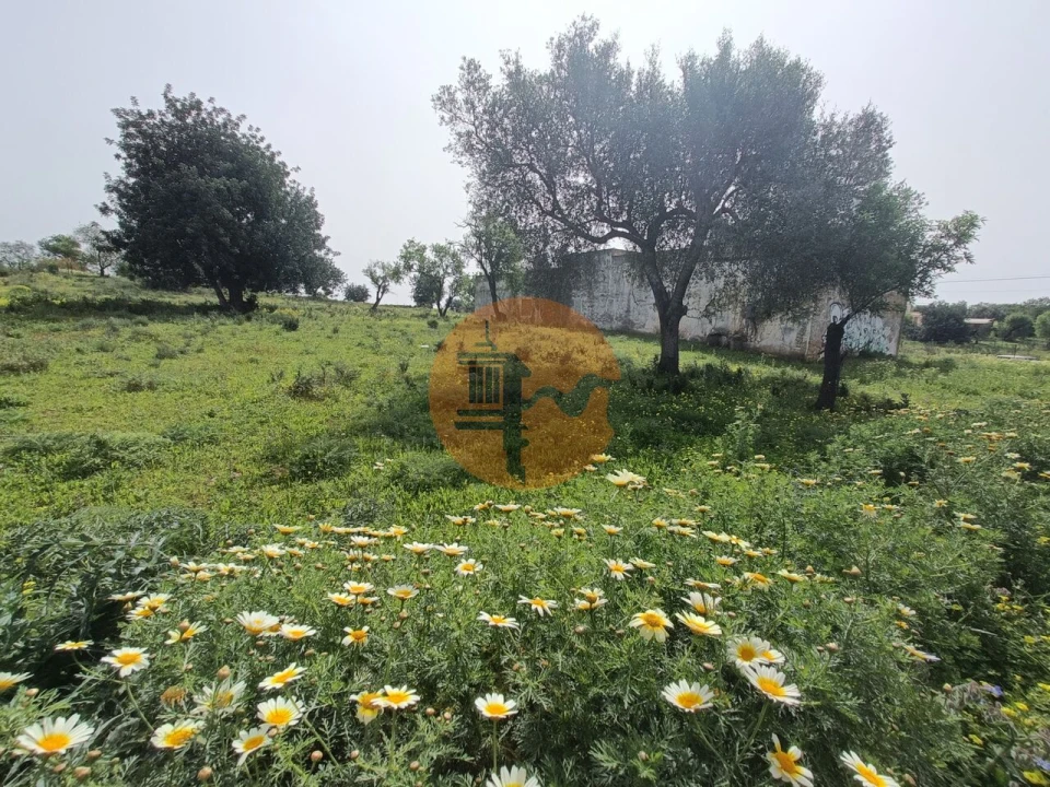 Terreno para Venda em Quelfes Foto 16