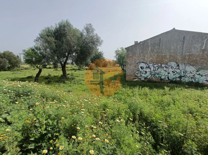 Terreno para Venda em Quelfes Foto 11