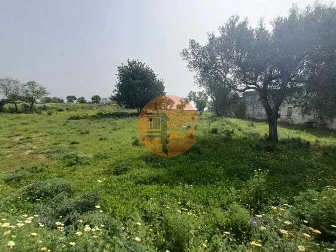 Terreno para Venda em Quelfes Foto 14