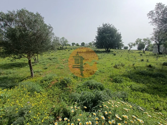 Terreno para Venda em Quelfes Foto 15