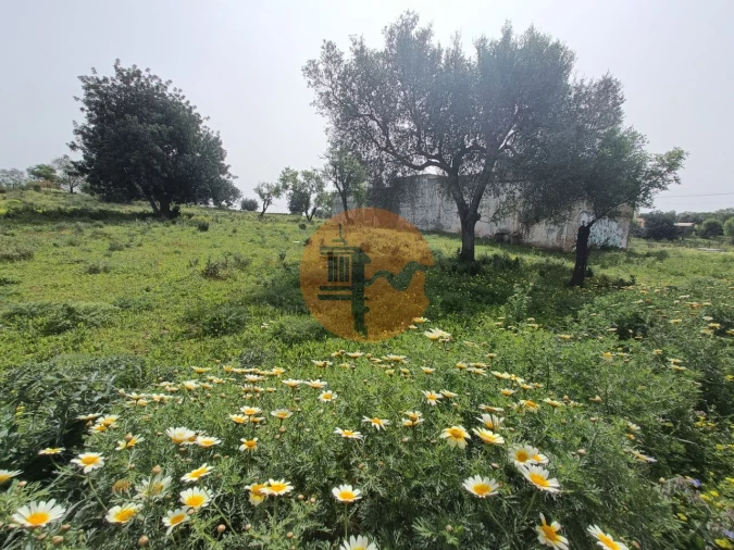 Terreno para Venda em Quelfes Foto 16