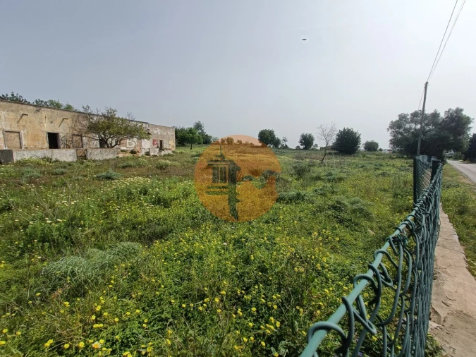 Terreno para Venda em Quelfes Foto 19