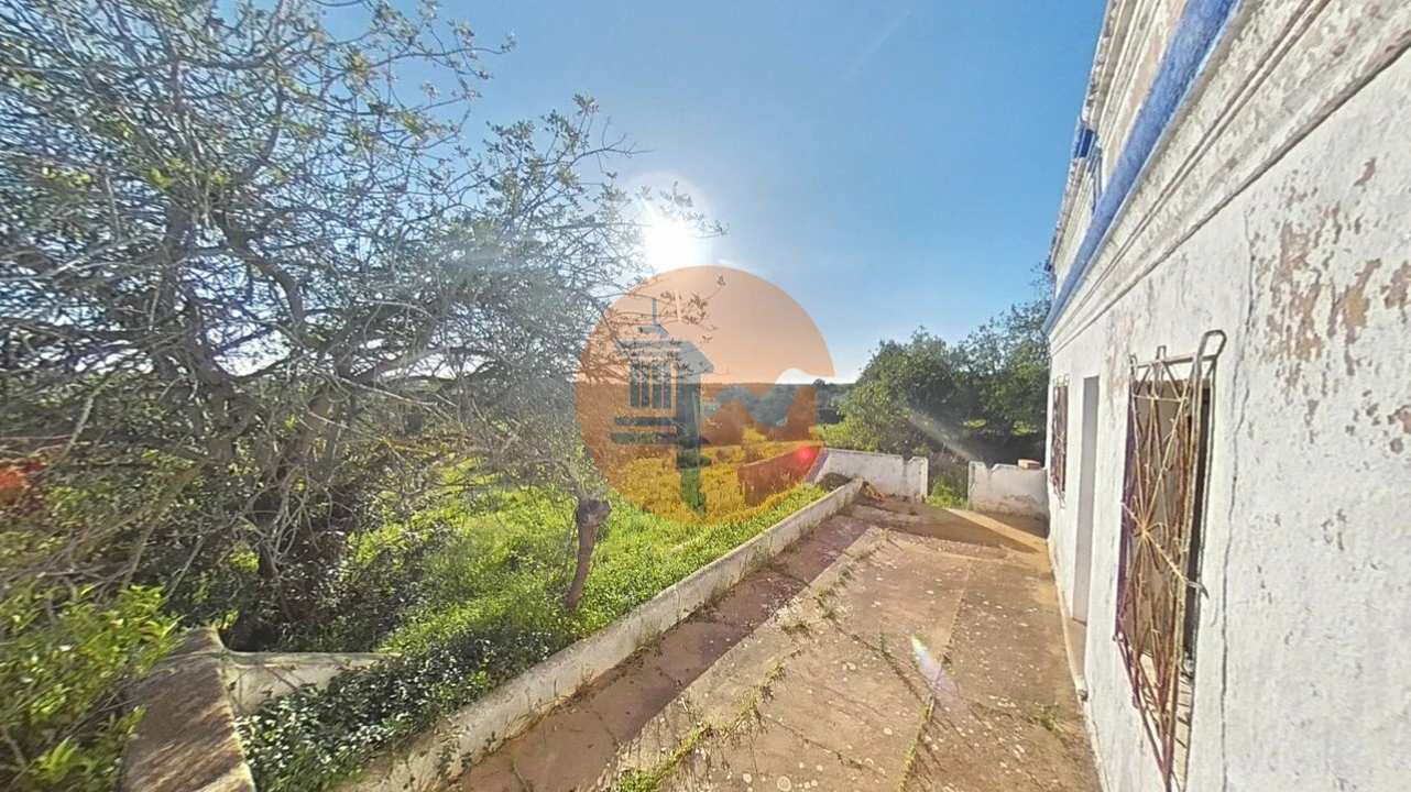 Terreno para Venda em Pechão Foto 3