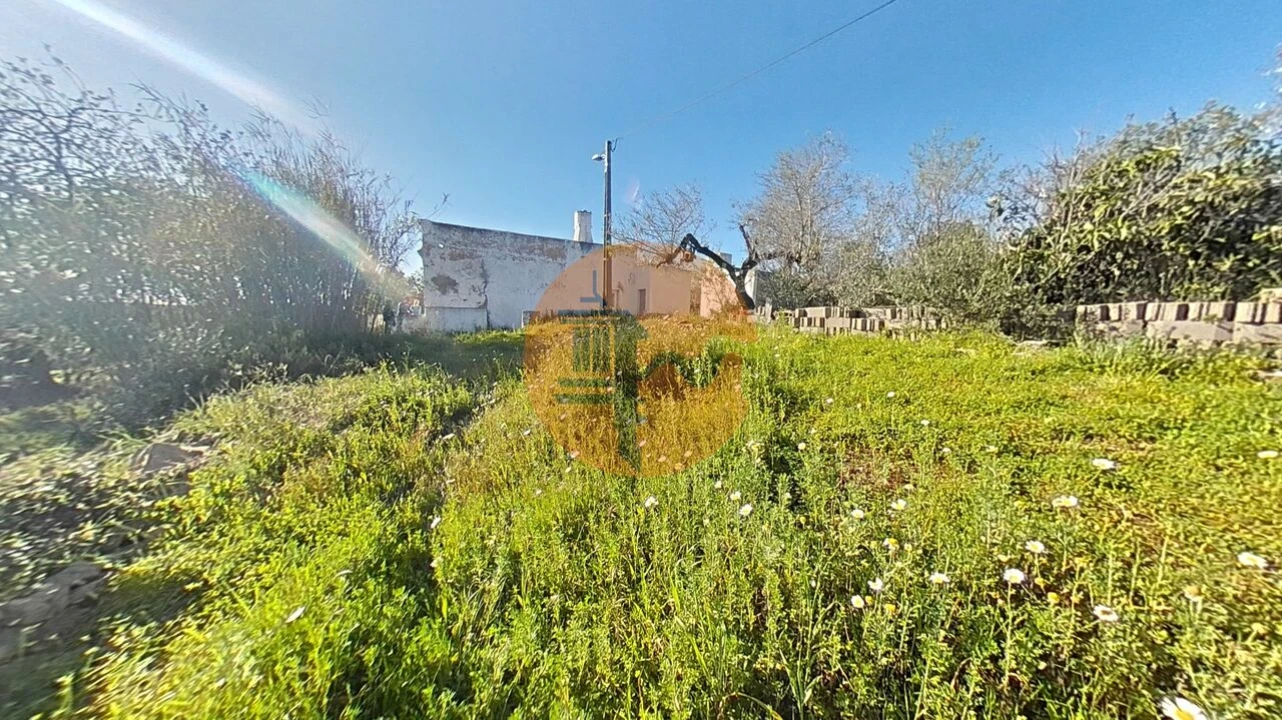 Terreno para Venda em Pechão Foto 26