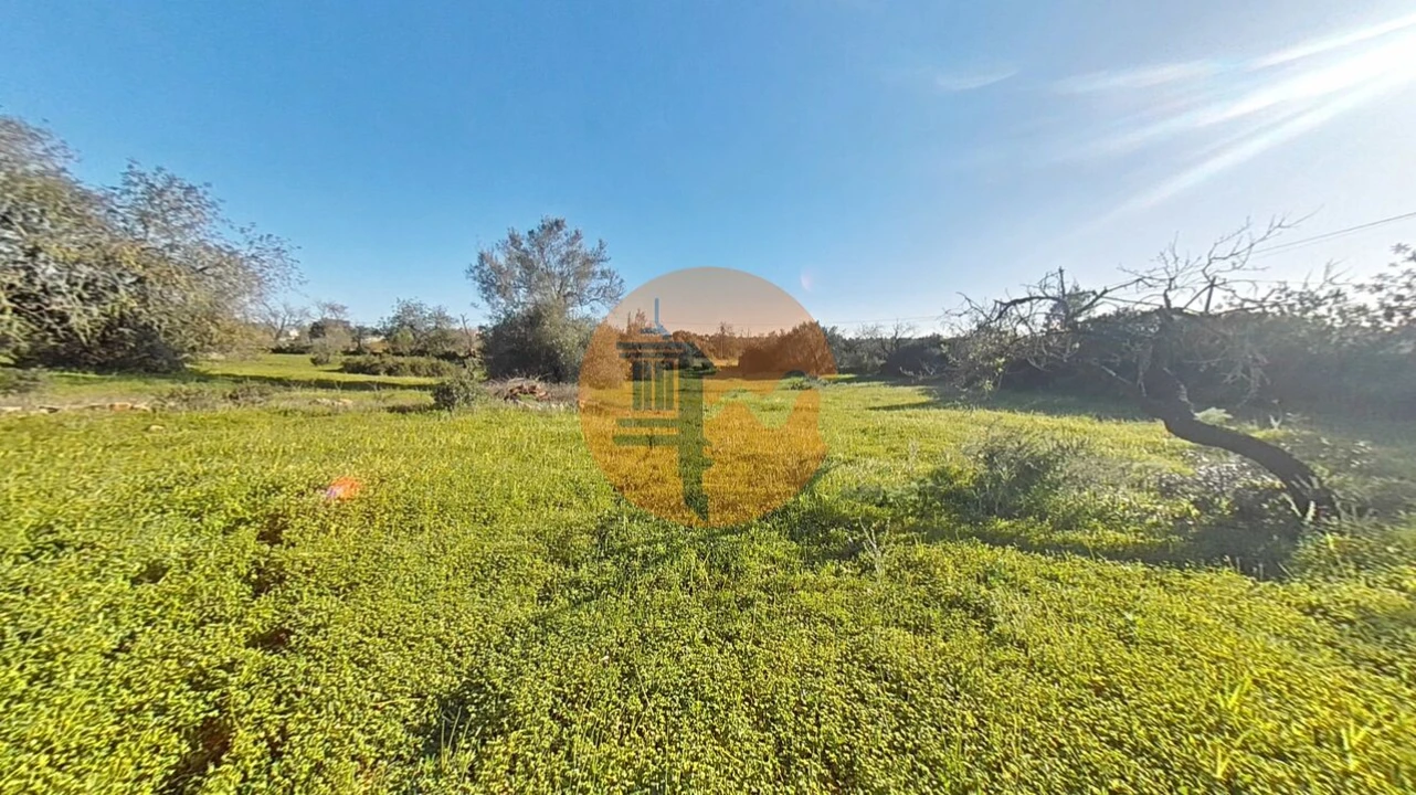 Terreno para Venda em Pechão Foto 29