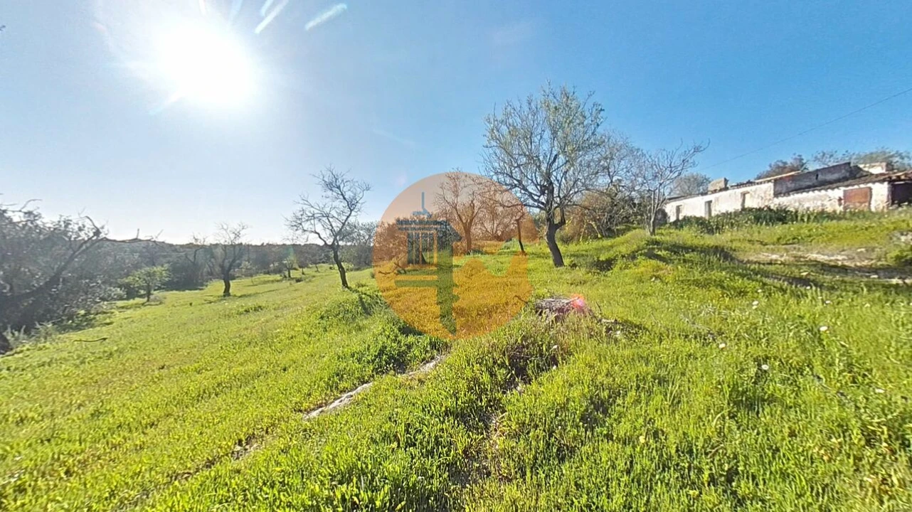 Terreno para Venda em Pechão Foto 30