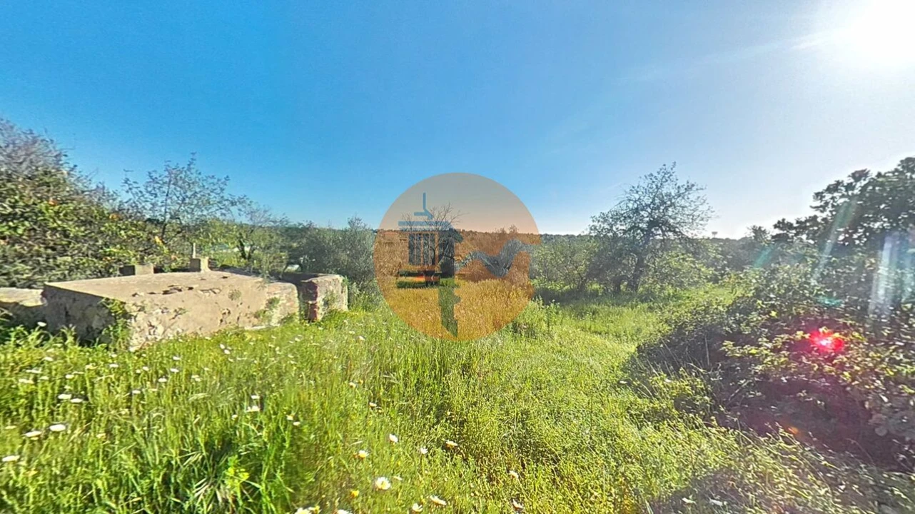 Terreno para Venda em Pechão Foto 32