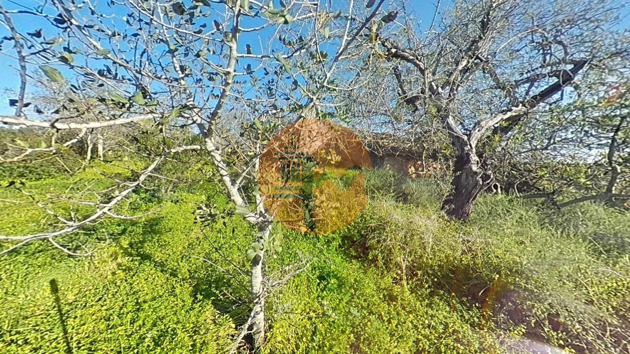 Terreno para Venda em Pechão Foto 33