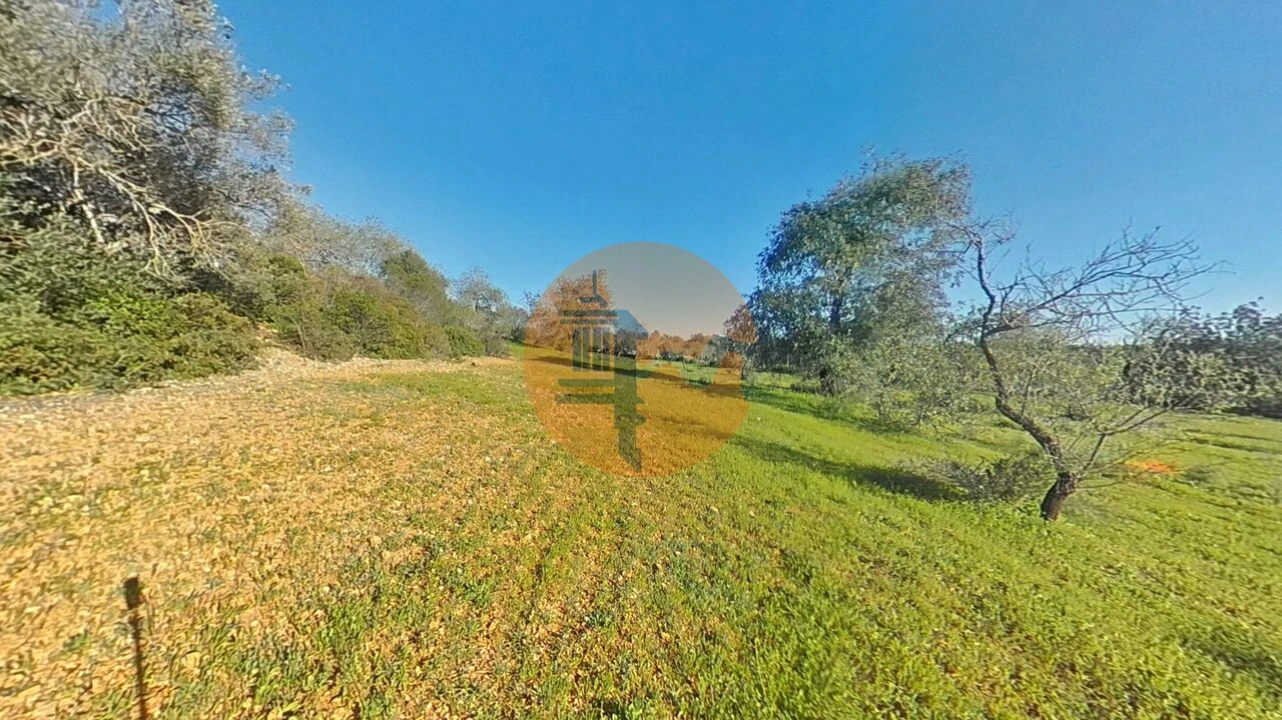 Terreno para Venda em Pechão Foto 35