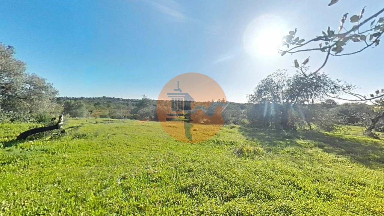 Terreno para Venda em Pechão Foto 37