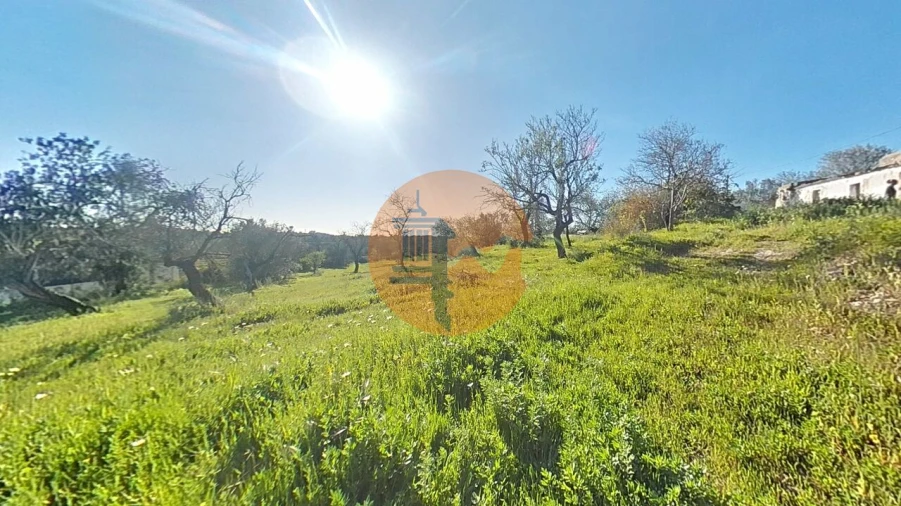 Terreno para Venda em Pechão Foto 23