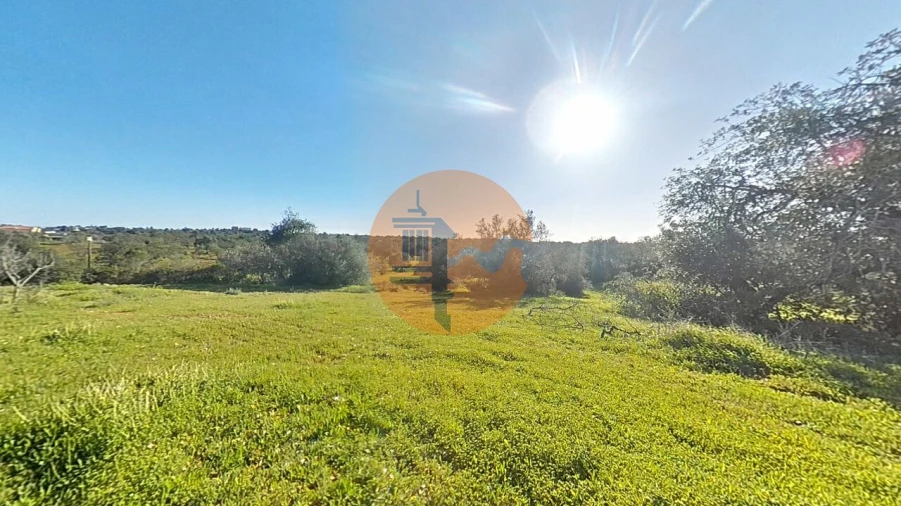 Terreno para Venda em Pechão Foto 27