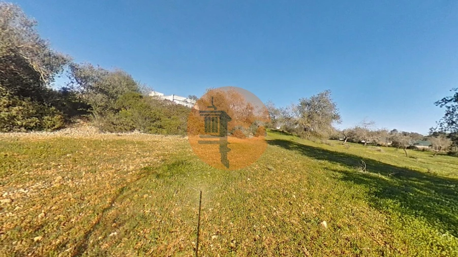 Terreno para Venda em Pechão Foto 28