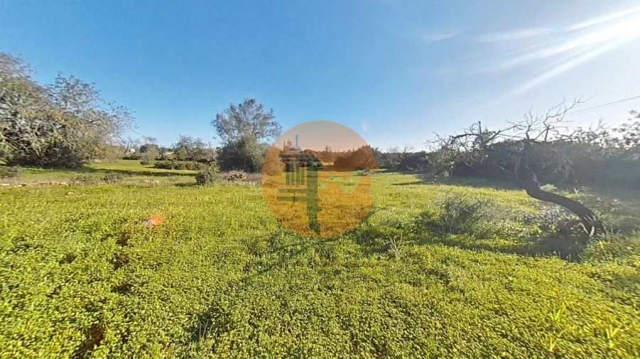 Terreno para Venda em Pechão Foto 29