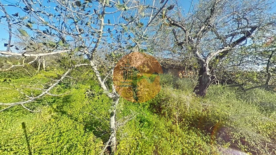 Terreno para Venda em Pechão Foto 33