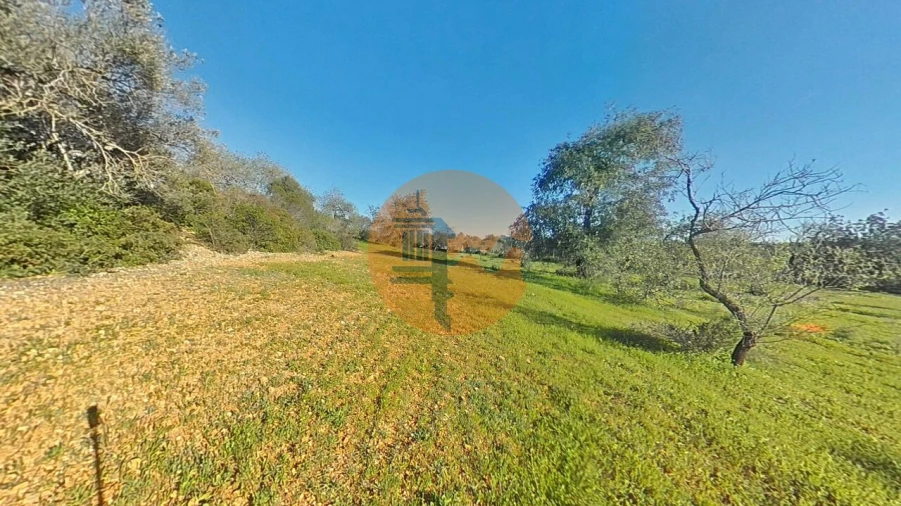 Terreno para Venda em Pechão Foto 35