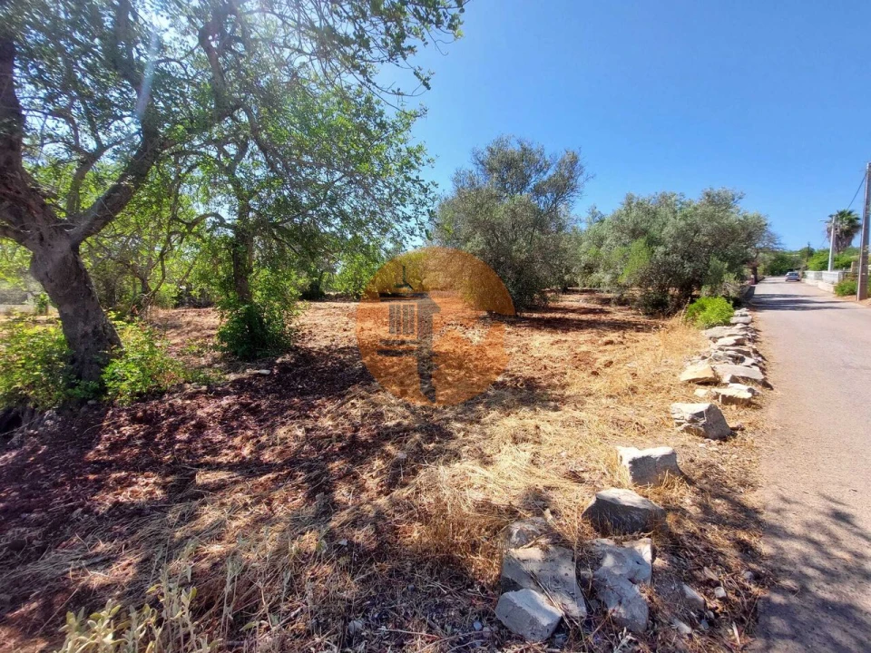 Terreno para Venda em São Brás de Alportel Foto 8