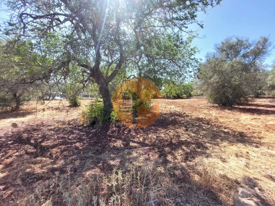 Terreno para Venda em São Brás de Alportel Foto 10