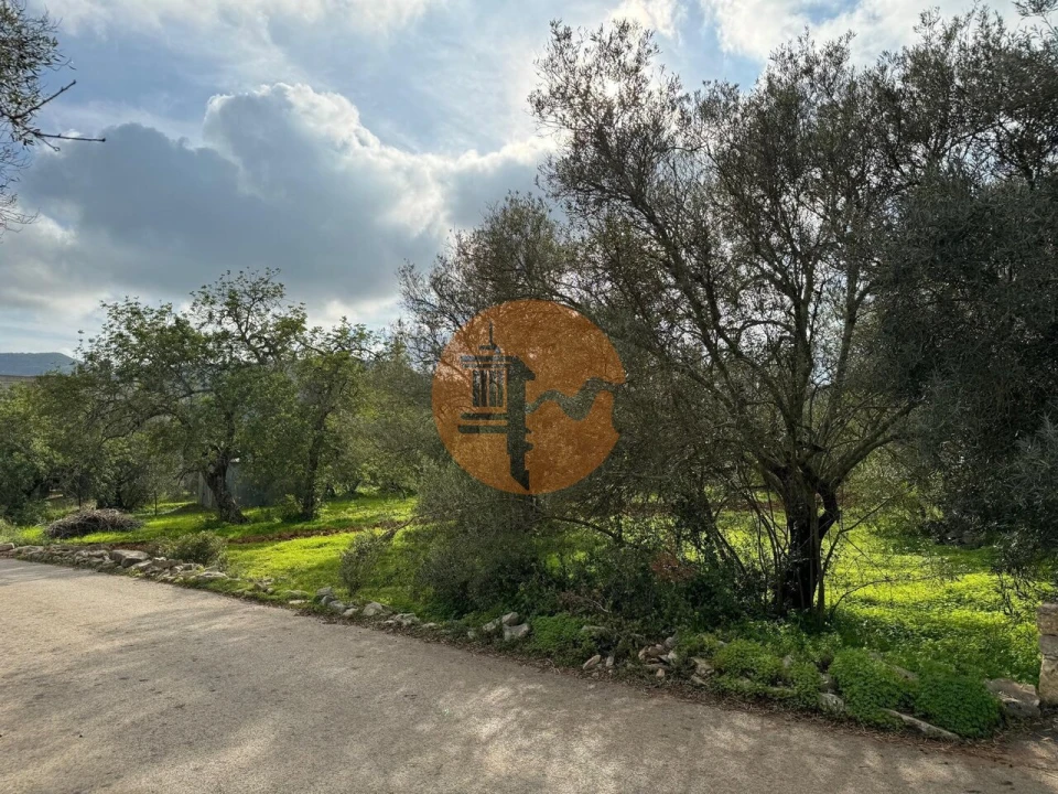 Terreno para Venda em São Brás de Alportel Foto 20