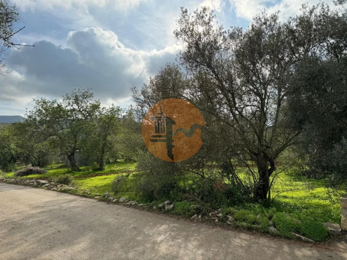 Terreno para Venda em São Brás de Alportel Foto 6