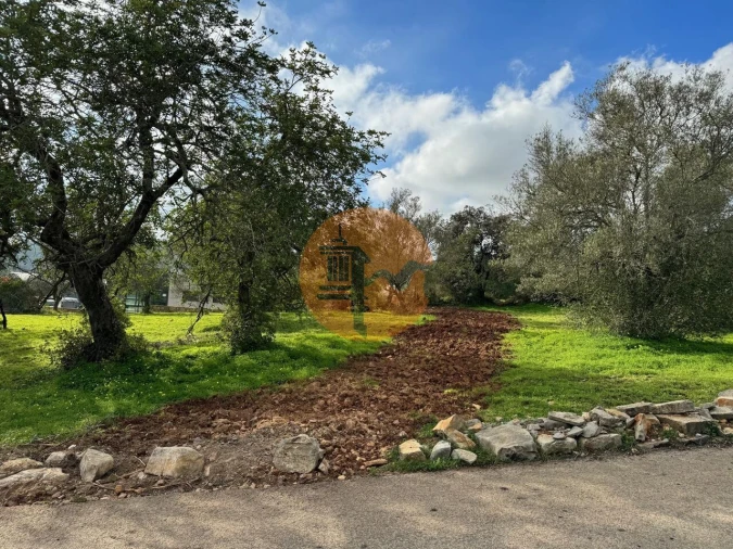 Terreno para Venda em São Brás de Alportel Foto 7