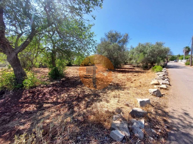 Terreno para Venda em São Brás de Alportel Foto 8