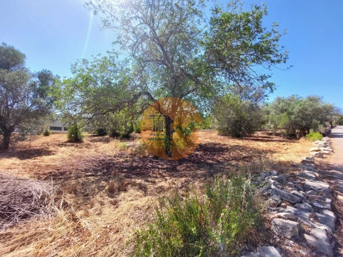 Terreno para Venda em São Brás de Alportel Foto 2