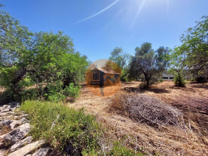 Terreno para Venda em São Brás de Alportel Foto 12